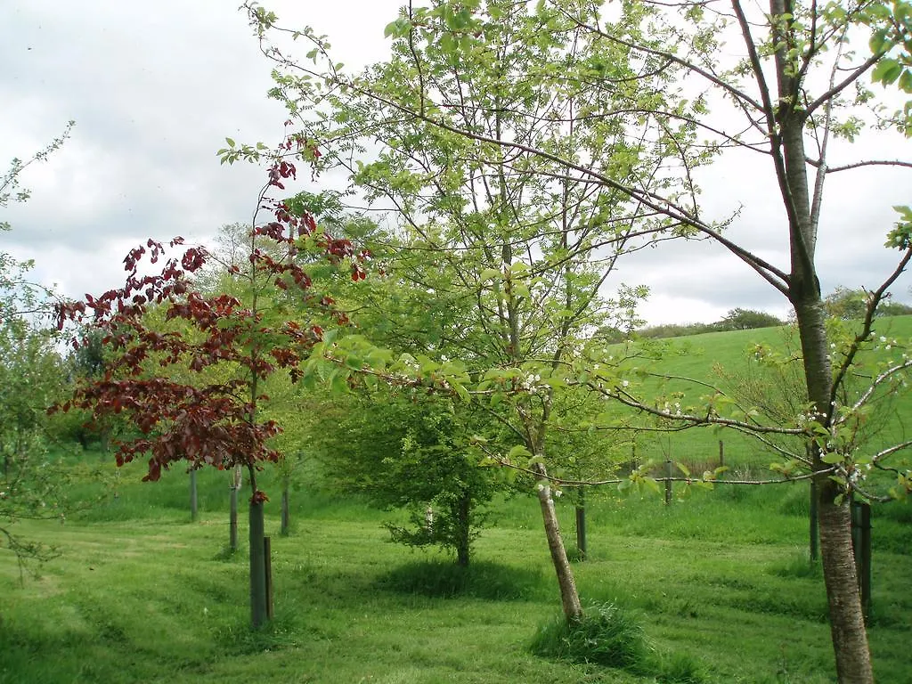Foxhill Barn Bed and Breakfast Gisburn Storbritannien